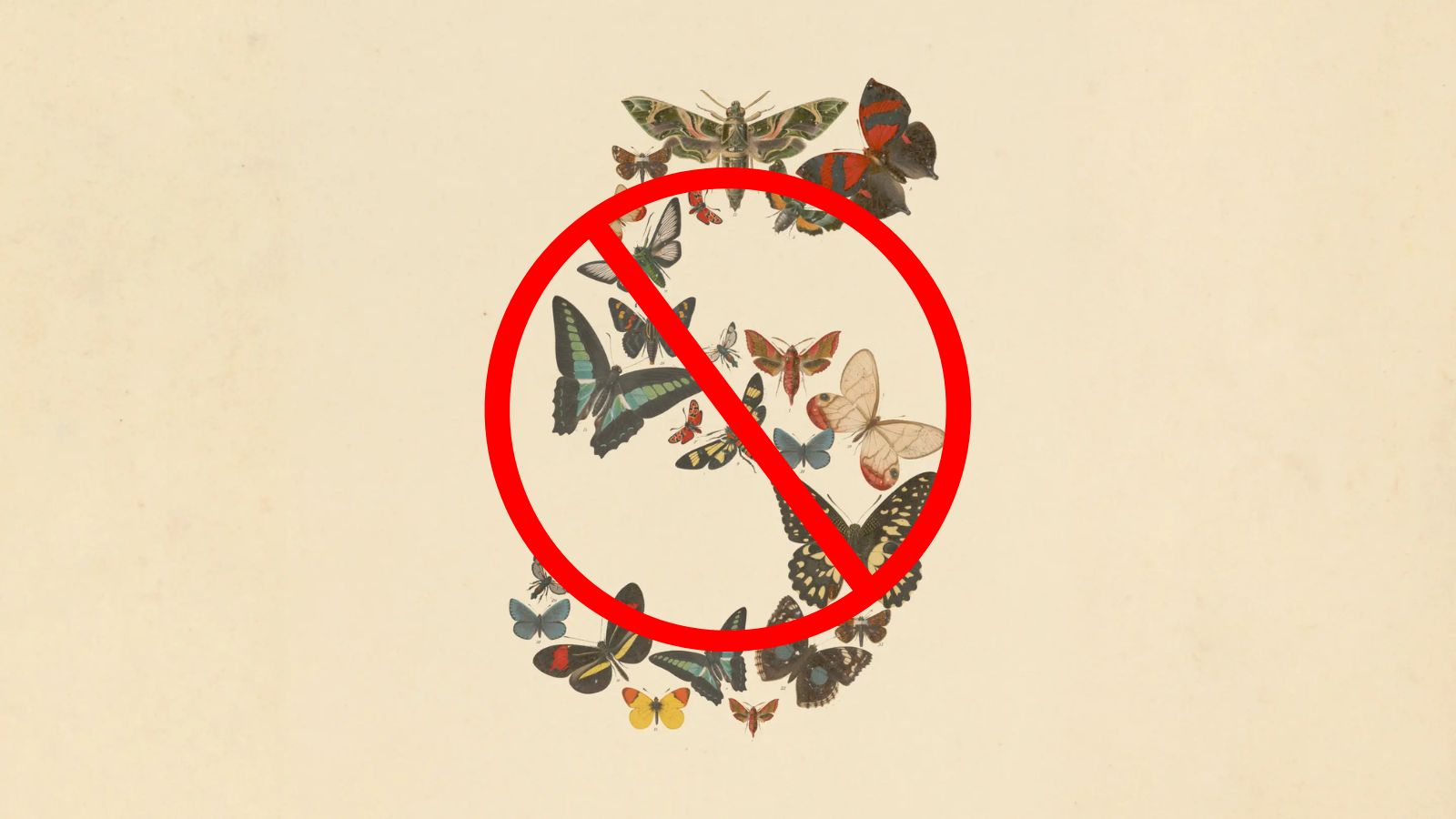 us-govt-ban-fable-5.jpg