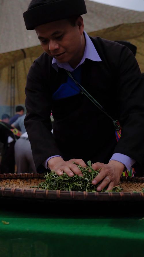  Không chỉ mang lại giá trị kinh tế, cây chè Shan tuyết còn là “cầu nối” giữa bảo tồn thiên nhiên và phát triển bền vững ở tỉnh Tuyên Quang. 