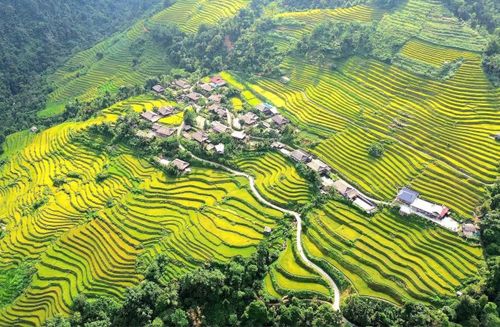  Ở độ cao hơn 2.400m, dãy Tây Côn Lĩnh hùng vĩ ôm trọn xã Cao Bồ – nơi được xem là “thủ phủ” chè Shan tuyết cổ thụ. Với gần 1.000 ha chè, nhiều cây hàng trăm năm tuổi, nơi đây hội tụ điều kiện lý tưởng về khí hậu, thổ nhưỡng để tạo nên loại trà mang hương vị đặc trưng, thanh khiết. 