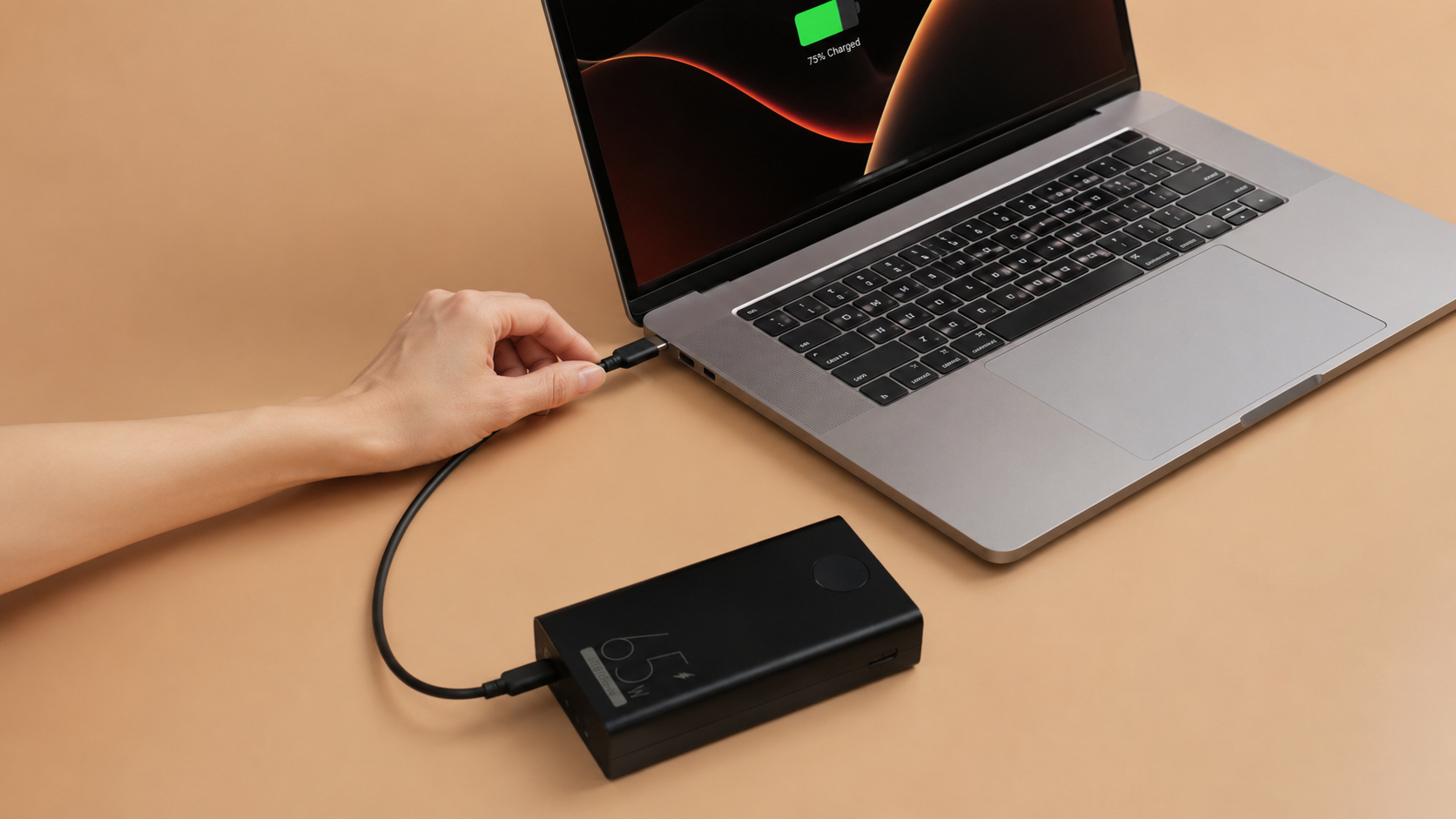 sac-laptop-17864161827011578011495.jpg