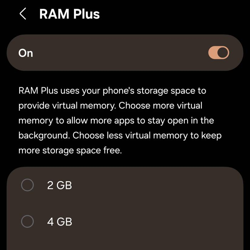 ram-plus-17844408267111401823733.jpg
